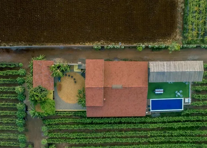 Saffronstays Onellaa, Nashik - Infinity Pool Villa Surrounded By A Vineyard